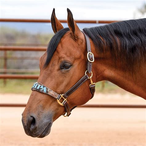 custom horse halters for sale.